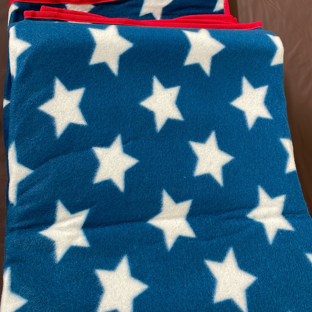 Mickey Mouse 1928 Picnic Limited Edition Picnic Blanket. Americana Collection - Picture 3 of 5